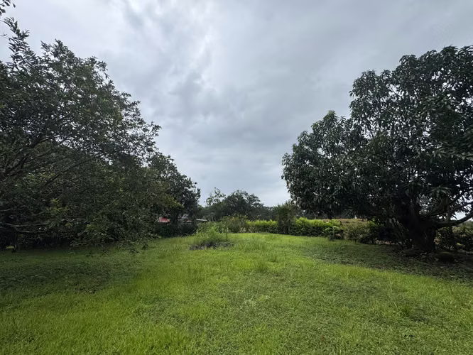 Venta de lote en Orotina