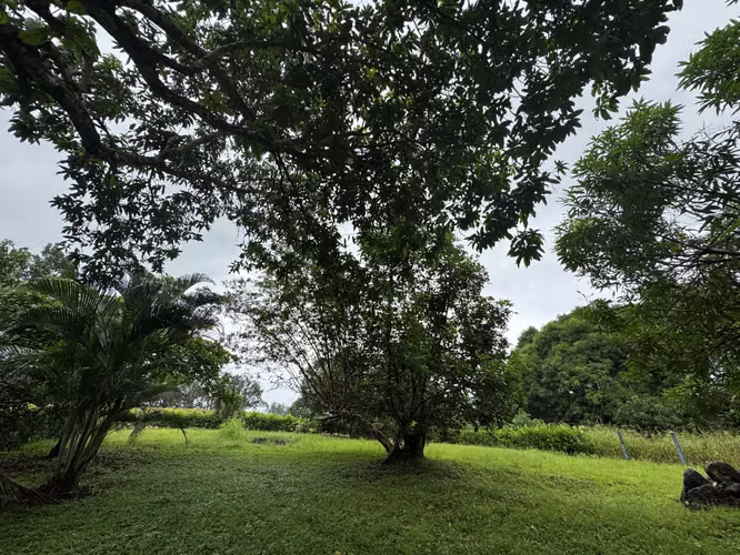 Venta de lote en Orotina