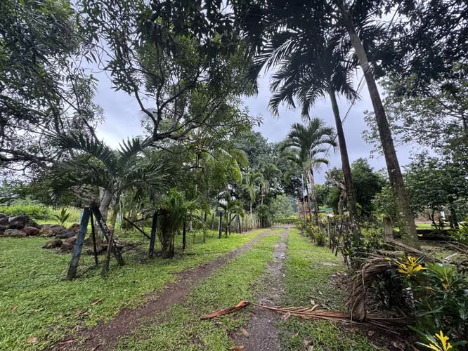 Venta de lote en Orotina