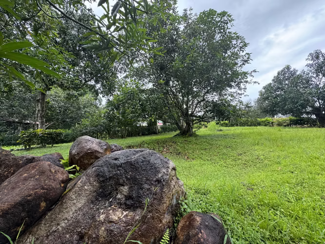 Venta de lote en Orotina