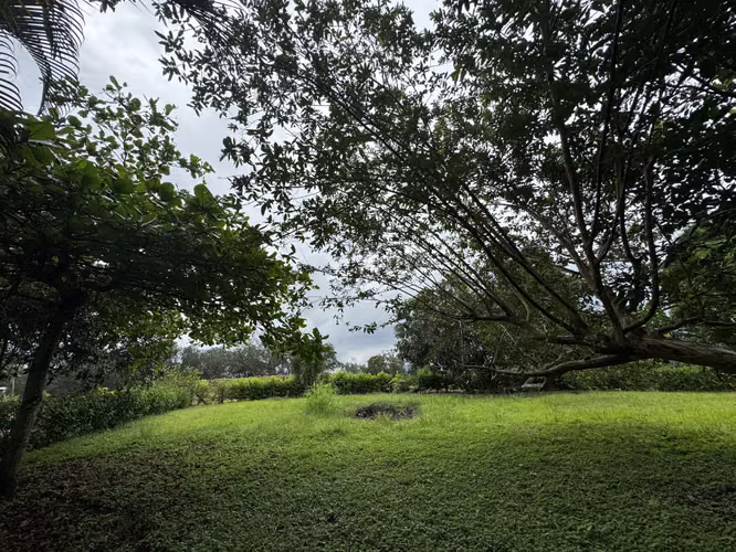 Venta de lote en Orotina