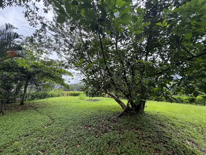 Venta de lote en Orotina