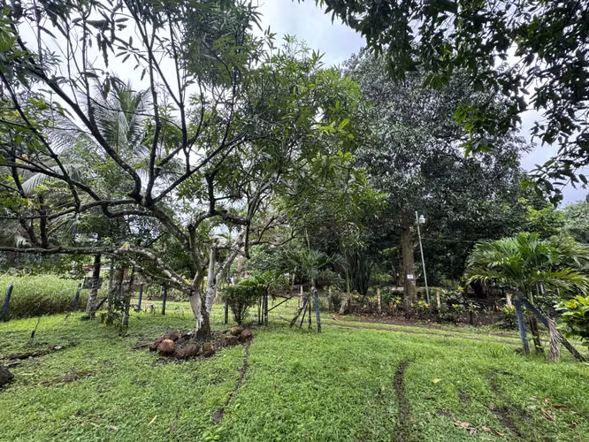 Venta de lote en Orotina