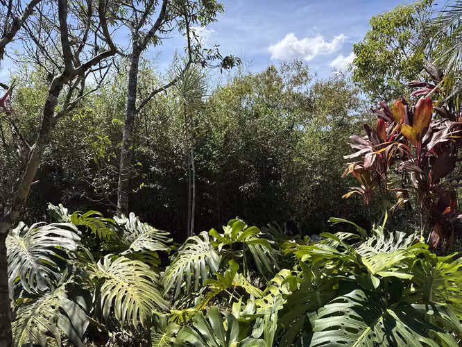 Se vende el terreno en Puriscal