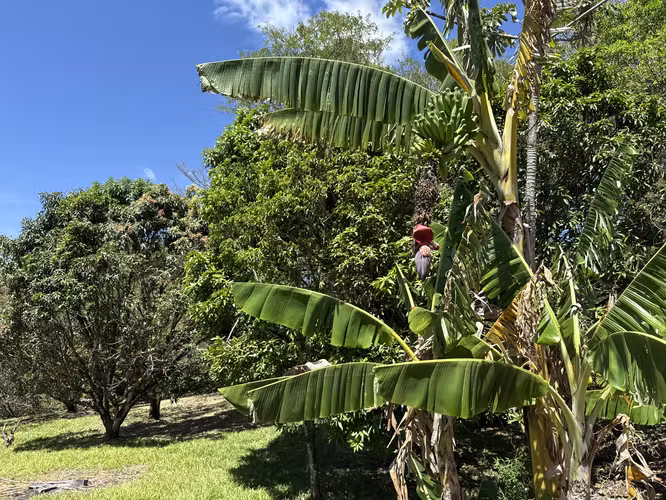 Se vende el terreno en Puriscal