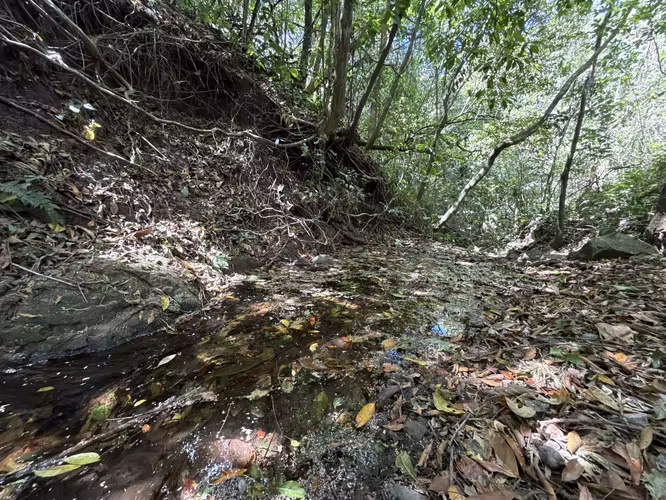 Se vende el terreno en Puriscal