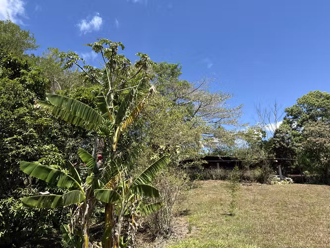 Se vende el terreno en Puriscal