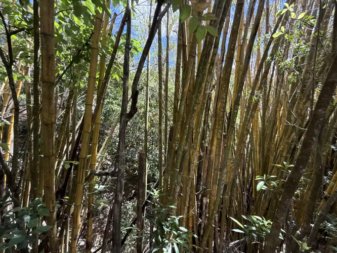 Se vende el terreno en Puriscal