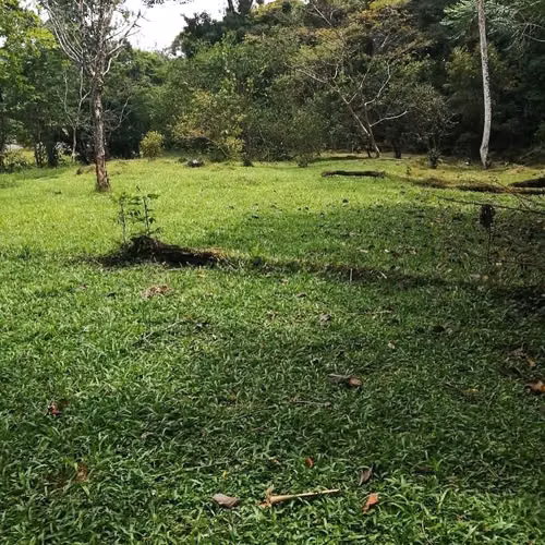 Venta de quinta en zona de alta plusvalía, Buenos Aires de Guápiles, Limón - Imagen 6