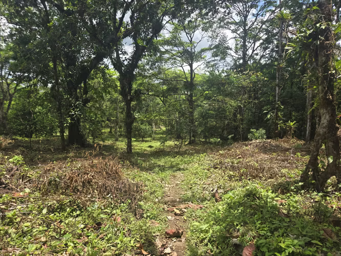 3.6 Hectares with Hot Springs & Rivers | Prime Eco-Tourism Investment