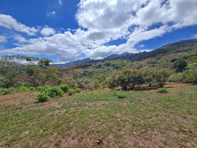 LOTE DE 3.010 M2 CON VISTA PANORÁMICA EN SAN ANTONIO DE ESCAZU (CARRIZAL) - Imagen 11