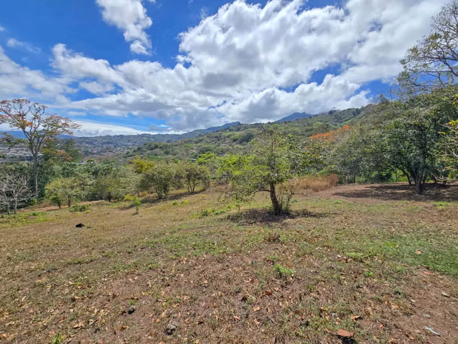 LOTE DE 3.010 M2 CON VISTA PANORÁMICA EN SAN ANTONIO DE ESCAZU (CARRIZAL) - Imagen 8
