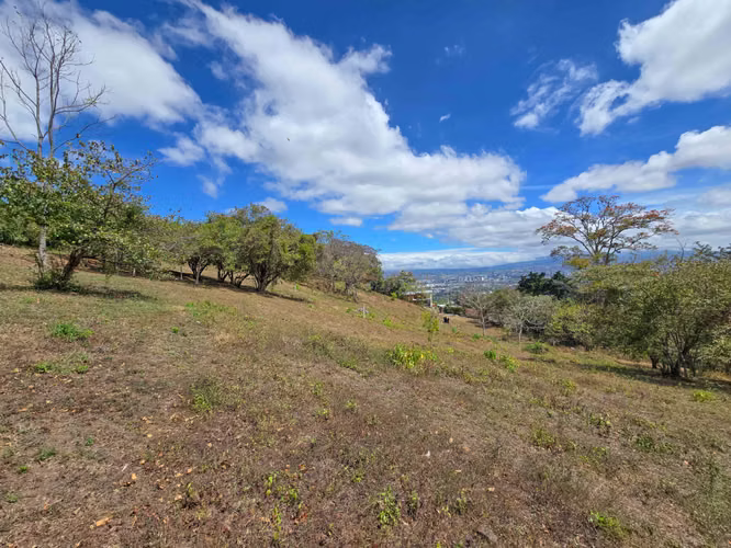 LOTE DE 3.010 M2 CON VISTA PANORÁMICA EN SAN ANTONIO DE ESCAZU (CARRIZAL) - Imagen 3