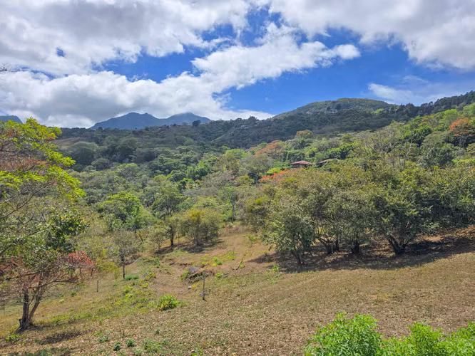 LOTE DE 3.010 M2 CON VISTA PANORÁMICA EN SAN ANTONIO DE ESCAZU (CARRIZAL) - Imagen 13