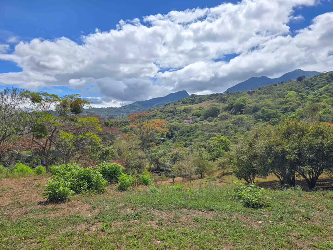 LOTE DE 3.010 M2 CON VISTA PANORÁMICA EN SAN ANTONIO DE ESCAZU (CARRIZAL) - Imagen 19
