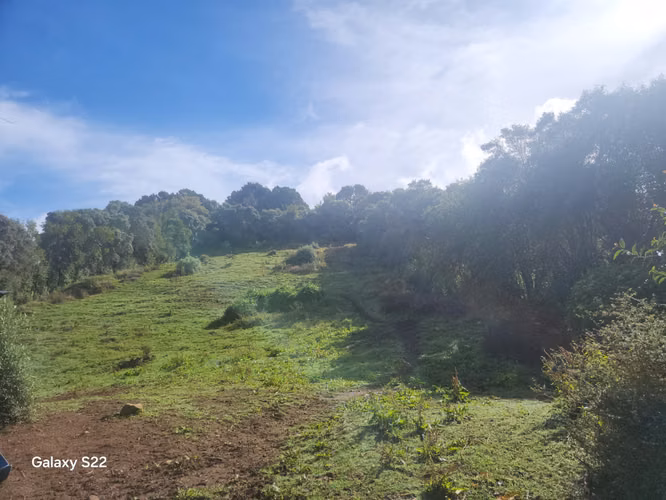 TERRENOS UNICOS DE MONTAÑA EN PARAMO SAN GERARDO DE DOTA 7 HTS