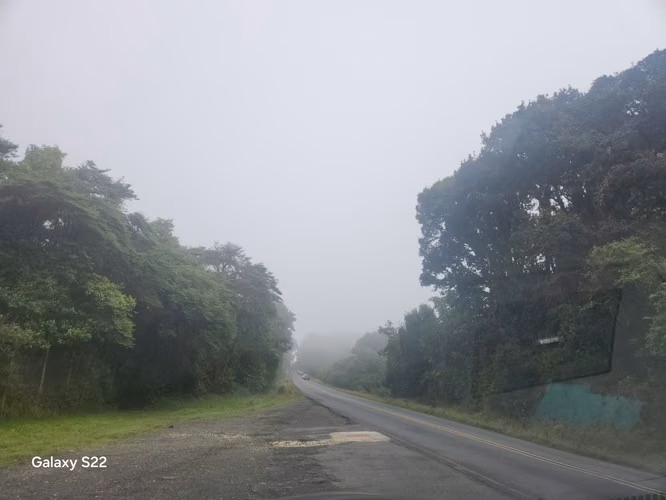 TERRENOS UNICOS DE MONTAÑA EN PARAMO SAN GERARDO DE DOTA 7 HTS