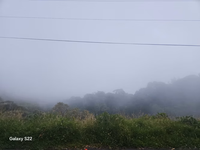 TERRENOS UNICOS DE MONTAÑA EN PARAMO SAN GERARDO DE DOTA 7 HTS