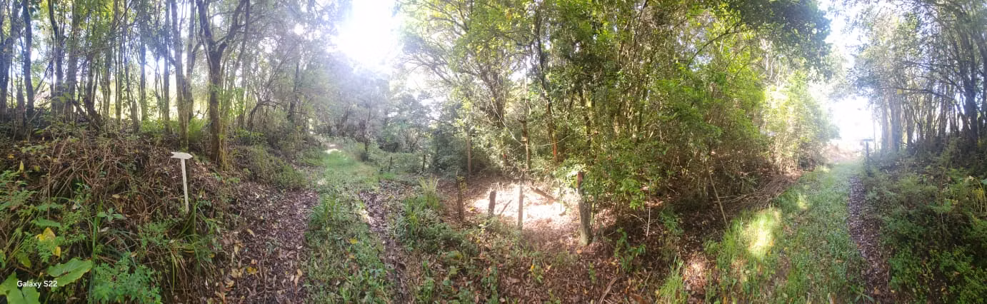 TERRENOS UNICOS DE MONTAÑA EN PARAMO SAN GERARDO DE DOTA 7 HTS