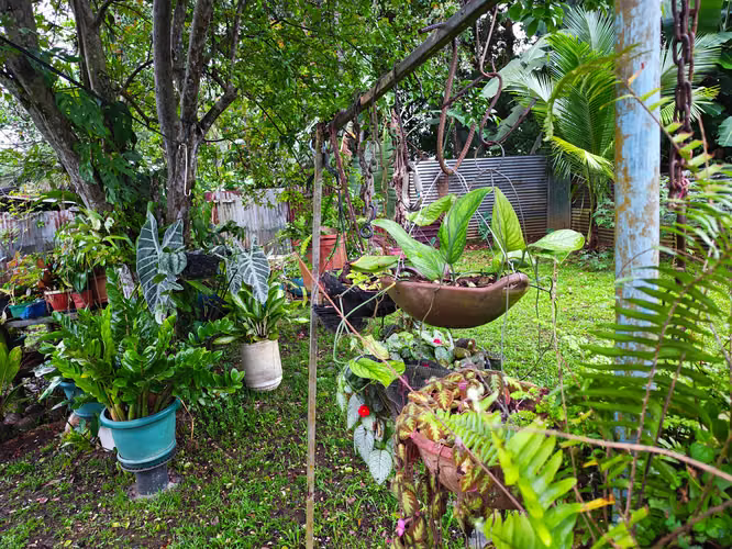 Hermosa Casa a 20 minutos La Fortuna - Imagen 8