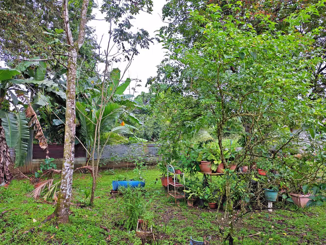 Hermosa Casa a 20 minutos La Fortuna - Imagen 5
