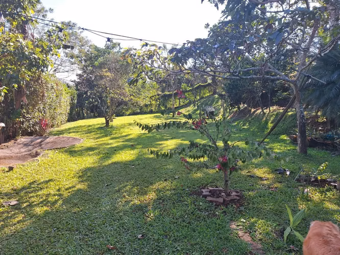 Finca en Naranjo, Alajuela. Casa, amplio terreno y senderos naturales - Imagen 9