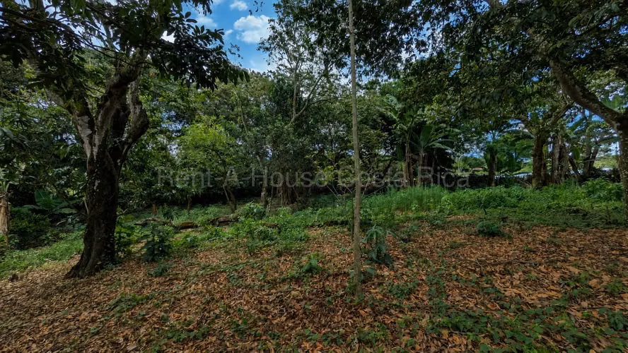 Lote en venta-Naranjo, Cirri sur, Alajuela