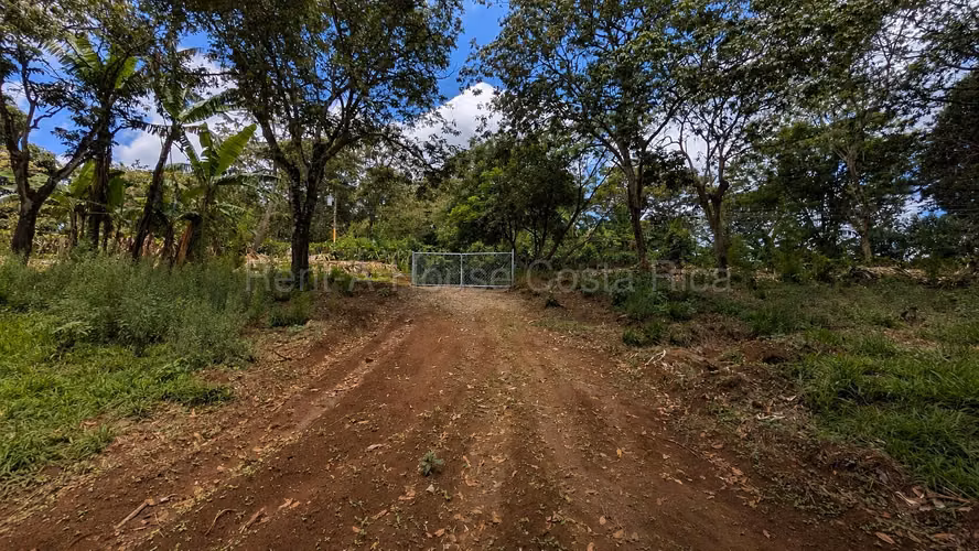 Lote en venta-Naranjo, Cirri sur, Alajuela