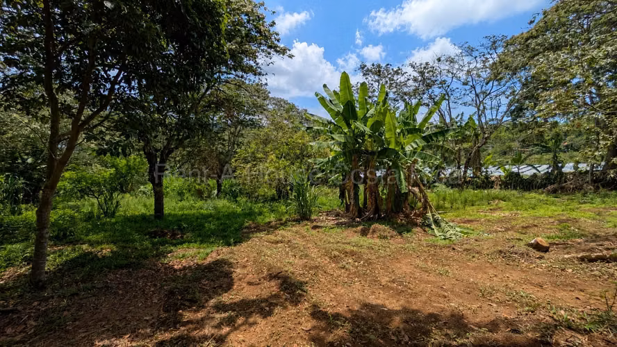 Lote en venta-Naranjo, Cirri sur, Alajuela