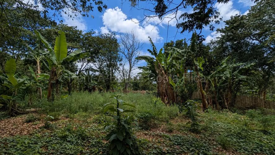 Lote en venta-Naranjo, Cirri sur, Alajuela