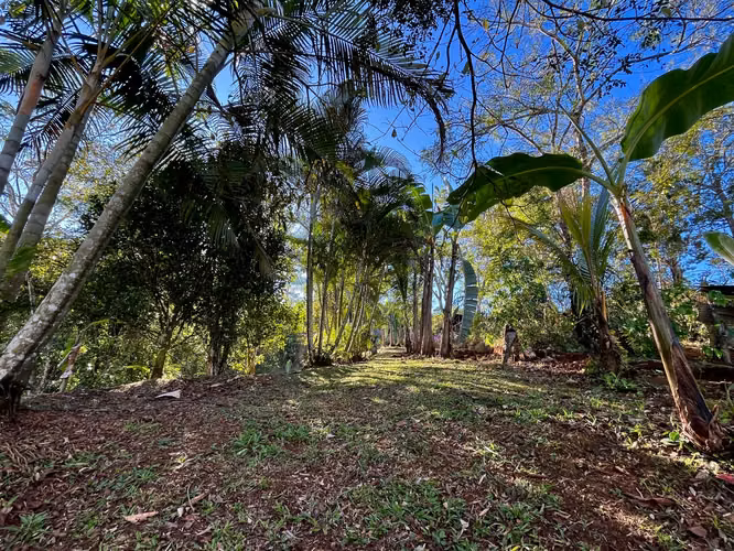 TERRENO EN VENTA EN PURISCAL - Imagen 11