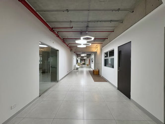 Alquiler de local en Guayabos de Curridabat