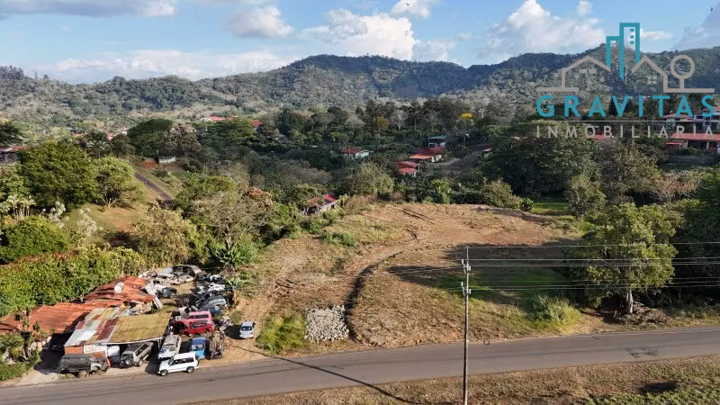 Terreno en venta en Naranjo, Alajuela (6000 m2) ID 1719
