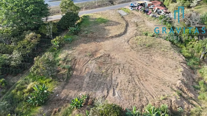 Terreno en venta en Naranjo, Alajuela (6000 m2) ID 1719
