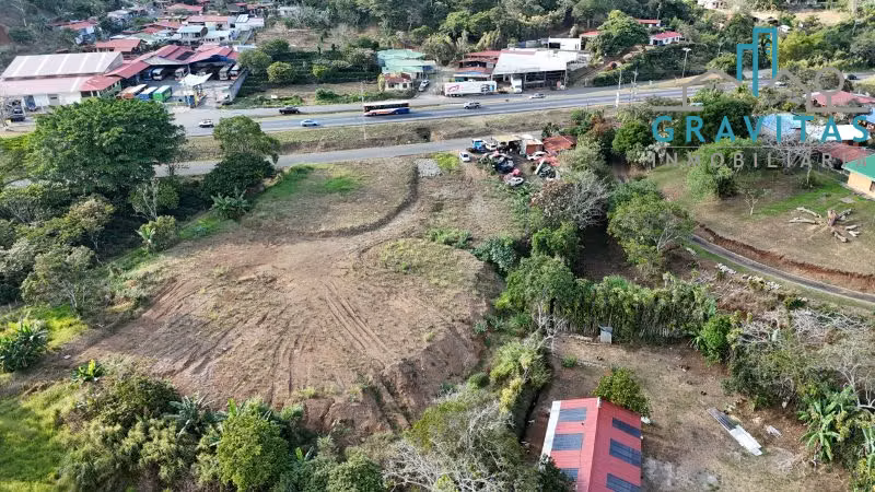 Terreno en venta en Naranjo, Alajuela (6000 m2) ID 1719