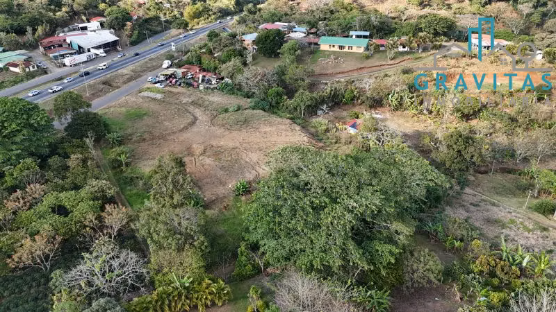 Terreno en venta en Naranjo, Alajuela (6000 m2) ID 1719