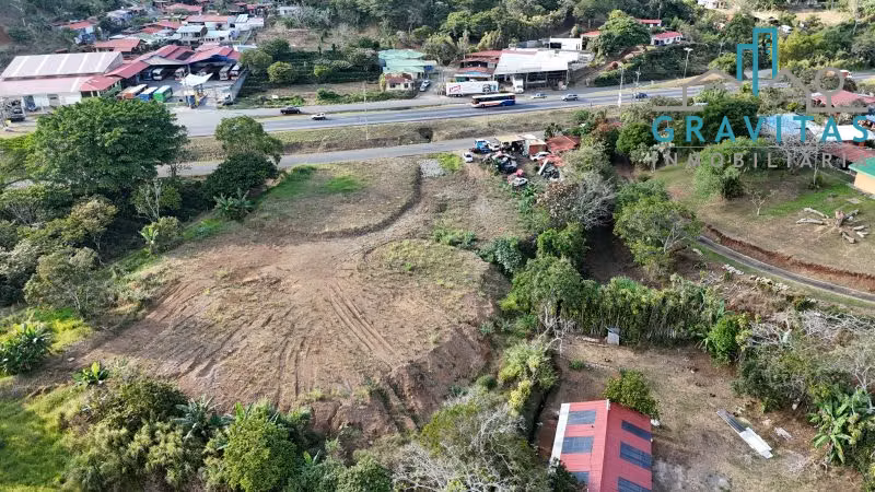 Terreno en venta en Naranjo, Alajuela (6000 m2) ID 1719