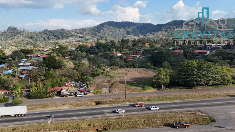 Terreno en venta en Naranjo, Alajuela (6000 m2) ID 1719