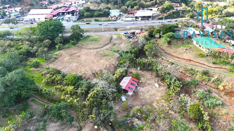 Terreno en venta en Naranjo, Alajuela (6000 m2) ID 1719