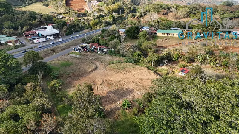 Terreno en venta en Naranjo, Alajuela (6000 m2) ID 1719