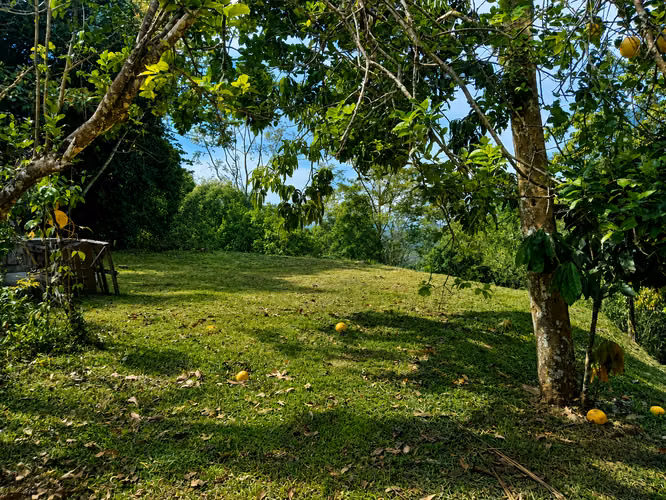 Quinta en Puriscal/vista al mar-agrícola - Imagen 2