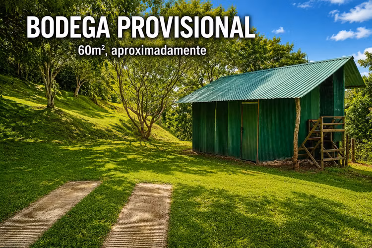 Quinta en Puriscal/vista al mar-agrícola - Imagen 8