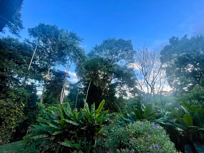 VENTA DE QUINTA CON CASA EN SARAPIQUI