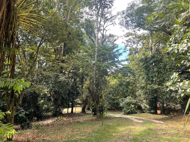 VENTA DE QUINTA CON CASA EN SARAPIQUI