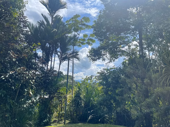 VENTA DE QUINTA CON CASA EN SARAPIQUI