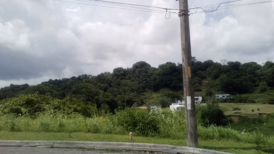 Venta de lote en Villa Leona, Garabito, Puntarenas - Imagen 7