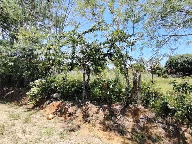 Venta de lote de 762 m2 con uso mixto en Buenos Aires, Puntarenas