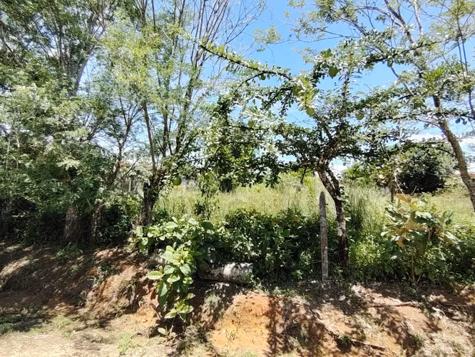 Venta de lote de 762 m2 con uso mixto en Buenos Aires, Puntarenas