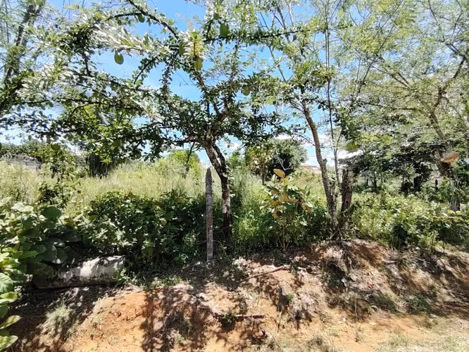 Venta de lote de 762 m2 con uso mixto en Buenos Aires, Puntarenas