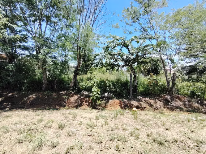 Venta de lote de 762 m2 con uso mixto en Buenos Aires, Puntarenas